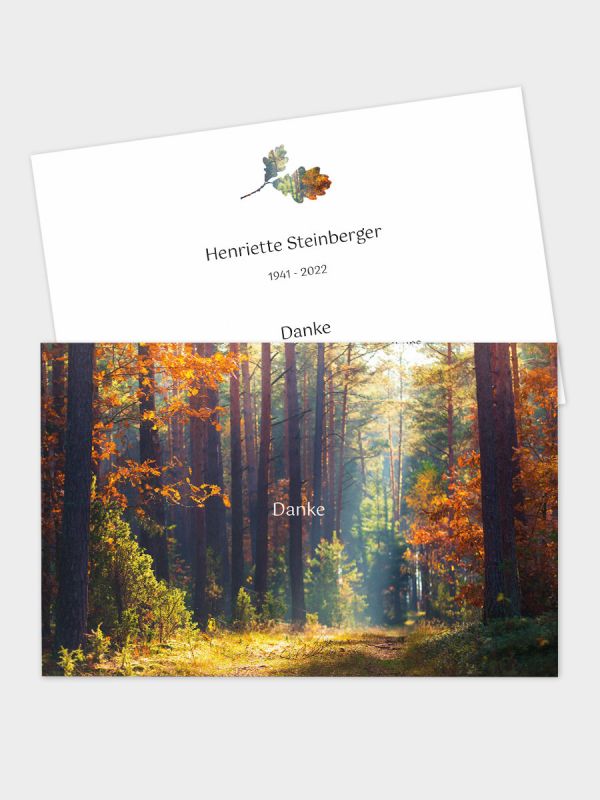 2-seitige Danksagungskarte im klassischen Querformat (178 x 115 mm) | Motiv Herbstwald | DKK_2Q_050