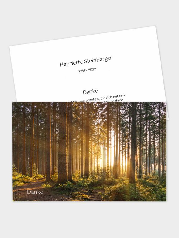 2-seitige Danksagungskarte im klassischen Querformat (178 x 115 mm) | Motiv Lichtwald | DKK_2Q_051