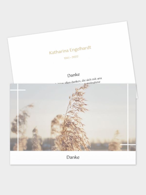 2-seitige Danksagungskarte im klassischen Querformat (178 x 115 mm) | Motiv Schilfgras | DKK_2Q_056