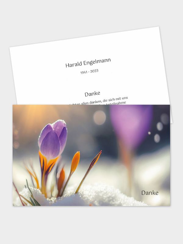 2-seitige Danksagungskarte im klassischen Querformat (178 x 115 mm) | Motiv Frühlingserwachen | DKK_2Q_079