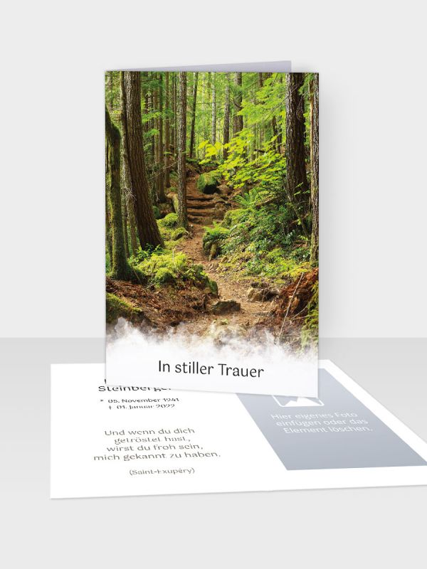 Erinnerungsbild - Kleinere Klappkarte mit Trauerbild/Sterbebildchen (74 x 105 mm) | Motiv Waldweg | EB_048