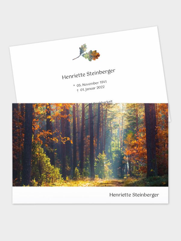 2-seitige Trauerkarte im klassischen Querformat (178 x 115 mm) | Motiv Herbstwald | TKK_2Q_050