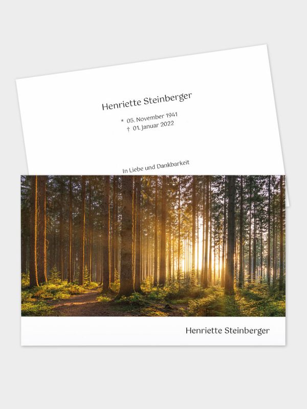 2-seitige Trauerkarte im klassischen Querformat (178 x 115 mm) | Motiv Herbstwald | TKK_2Q_050
